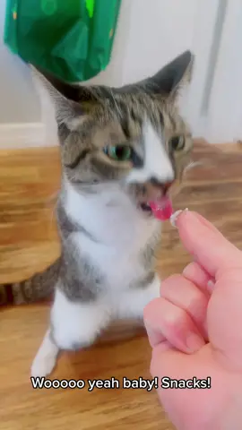 I love snacks #SeeHerGreatness #spring #animals #OscarsAtHome #foryou