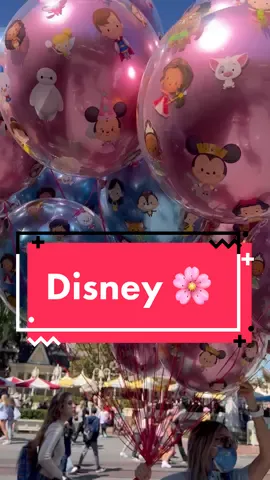 My ideal Sunday ☁️🌸 #disney #VenmoSpringBreak