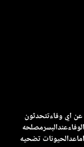 الحمام الزاجل تبعونه ياولد