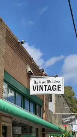 florida thrift vlog!!! #thrifting #thrift #thrifthaul #thriftvlog #haul #thriftwithme #thrifted #fashion