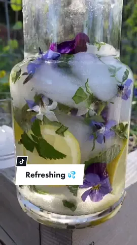 Refreshing lemon, borage flower/leaf, strawberry leaf, & viola iced water from the garden 🍋😋 #growyourown #edibleflowers #refreshing #foodforest