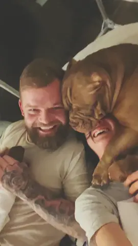Soulmates/best friends -moments we live for😂 #americanbully #mansbestfriend #brewedup #whelperlife #fyp #pocketbully #microbullies #bullylove #pawrents