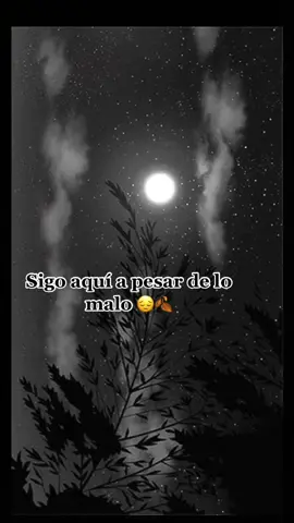 #fypシ゚viral #parati #melodiastristes💔 #incondicional #🎶🎼🥺🎶🎼🎶🥺🎼