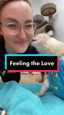 Love from Princess Cecily 💖 #imspecial #feelingloved #feelingthelove #Love #princesscecilycc #catkiss #catkisses #catlove