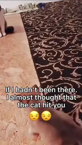 #duet with @cdsjzs so little, but so resourceful 😂 #cats #animals #spring #OscarsAtHome