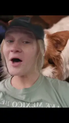 #stitch with @medievalfilthcauldrons #greenscreen #dogfacts #dogsofttiktok #fyp #foryoupage