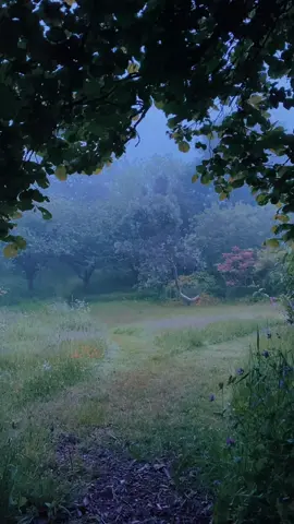 🦋🌿