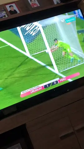 Era gol ptm😭😭😭 #peru #futbol #uruguay #viral #fyp