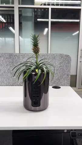 Apple recycling could never