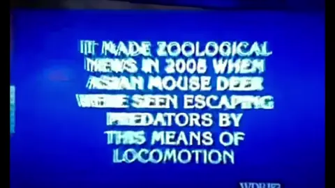 Damn, those are smart animals. #jeopardy