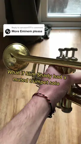 Reply to @sarcasm177  6 million on Insta, maybe it’ll do better this time around 🤷‍♂️ #trumpet #eminem #musician #musictok #trumpetsolo #musicvideo