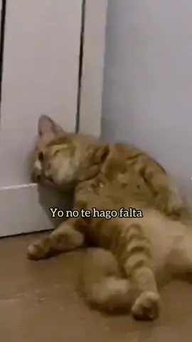 Responder a @ramses_nivek Ana Gabriel - No te hago falta 🥺💔😭