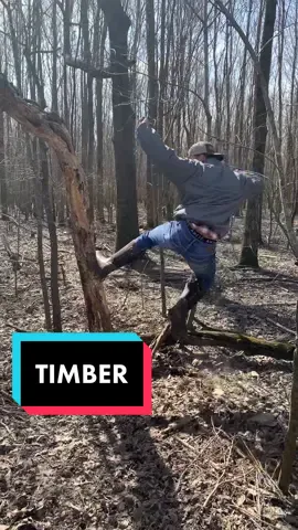 DO NOT ATTEMPT! Done by trained professionals! #arkansas #fortheboys