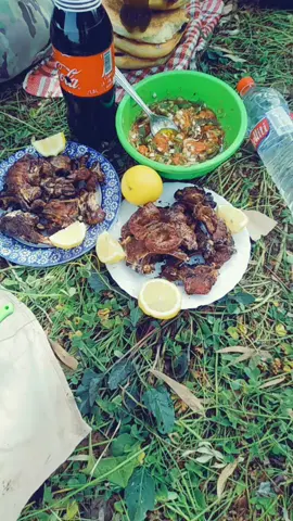#fypシ #fyp #barbecue #barbecuechallenge #barbecueparty #barbecuelifestyle #nature #Hiking #camping#مشوى #مشوى_تونسي #مشوى_الربيعي #مشوي #مشويات_علي_الفحم #الطبيعة_الخلابة #الطبيعة