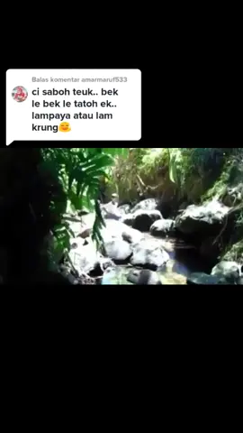 Balas @amarmaruf533 #nyakmaulidin12 #laguaceh #tiktokaceh #SerumGakHarusMahal #aneuk_rancong