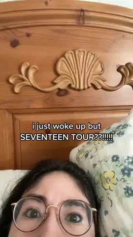 get in besties we going seventeen tour #kpopfyp #seventeen17_official
