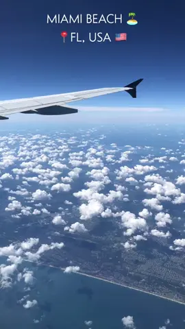 saudades Miami