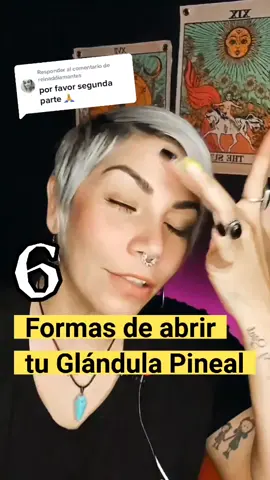 Responder a @reinaddiamantes #glándulapineal #glandulapineal #tercerojo #om #mantra #meditacion #yoga #tiktokpanama #tiktokchiriqui #bocasdeltoro #chamosenpanama ##tarot #mediumtiktok #tiktokguatemala #cdmx #sinaloa #tiktokbolivia #tiktokperu #chile🇨🇱 #brujasdetiktok #tarotistasdetiktok #espiritualidad #amorpropio #Colombia #fyp #pty #consultasdetarot