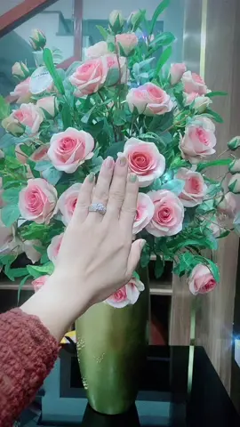 Thích gì tự mua 🥰