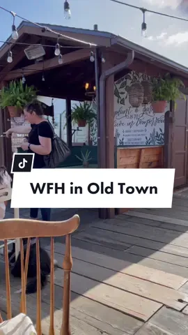 The last one is how I even found out about this place 🤍 #sandiegocoffee #coffeeshop #oldtownsandiego #sandiegohiddengems #sdcoffee #sdlocalspots