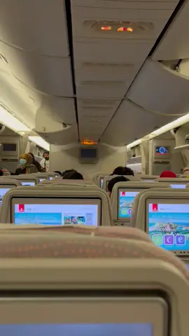 Going Pakistan #pkaistan #UAE #emiratesairlines #flyingtopakistan #videoviral #foryourpage #tiktokpakistan