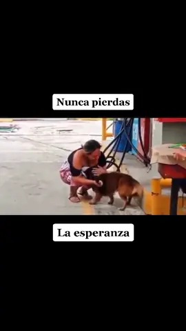 #reencuentro #perro #mascota #desaparecido #dog #pet #missing #animals #animal #tiktok #viral #fyp #fypシ #foryou #parati