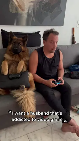 #fyp #germanshepherd #husband #dogoftikok #videogames