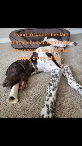 🤷‍♀️#GameTok #FYP #foryoupage #CloseYourRings #AFairShotWithBlock #PetsOfTikTok #humansister