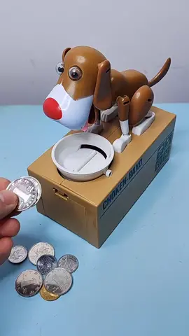 This dog also eat coins #tiktok #foryoupage #funnyy #gift #eat #piggybank #cute #dog #toys #nice