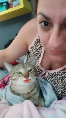 Meg meu amor..#catlover #amorde4patas💕🐾foryou
