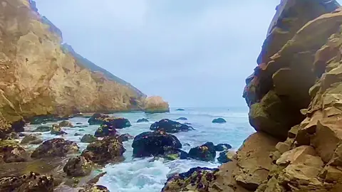 Fossil Point in Avila Beach 🤙 #surfing #surf #surfer #サーフィン #waves #beach #ocean #ロングボード #sup #surfphotography #surfinglife #surfboard #sea #surfers #beachlife #wave #photography #longboard #surfboards #watersports #gopro #goprosurf #goprosurfing #slosurf #calpolyslo #avilabeach #thunderisland #jayferguson #catchsurf #odysealog #paddleboard #paddleboardinf #supsurf