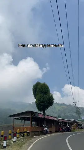 Cewe kalo udah pake logika🐒🤣