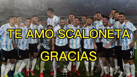 #argentina #seleccion #scaloneta #mundial #2014