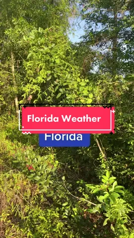 #pov Had to call #florida about the #hailstorm #floridaweather #florida #omgitswicks #hail #floridian