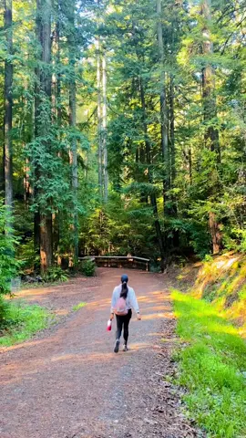 Where I would rather be💚 #Hiking #califonia #norcal #granolagirl