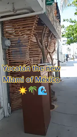 #tiktok#progreso#yucatan #miami#mexico