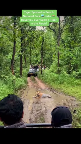 #beautifulldestination #travel #naturelover #nature #hyperbeast #adventureculture #natureathome #india