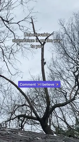 Comment ✨I BELIEVE✨ #manifest #richenergy #moneymantra #fyp #abundance #BigComfy