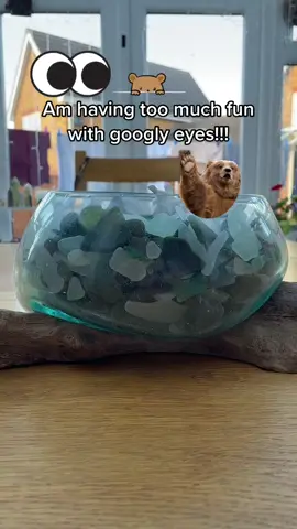 #googlyeyes #fluorite #crystalcarving