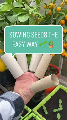 #howto make a recycled seed tray for your plants 🌱🪴 #plants #planttok #reuse #diy #seeds #lifehack #eco