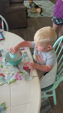 Wait till you hear what Dylan says happens to the cotton candy! #prank #kidsprank #cottoncandyprank #funny #fyp #viral @afvofficial #afv