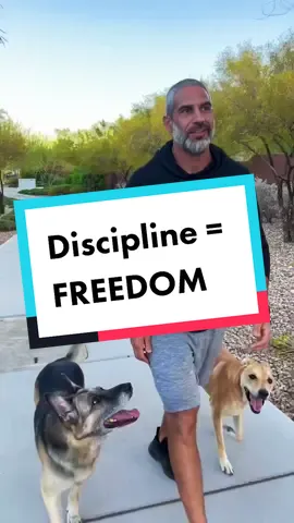 Achieving this takes disciplining yourself to put in the work. There are no shortcuts in #dogtraing or #dogobedience #offleash #offleashdogs #freedogs #packleader