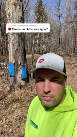Reply to @mhlmoose #TurboTaxAndRelax #ImoniCarly #ByeByeSundayBlues #maple syrup