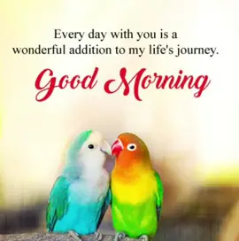 Good Morning Sweetheart 💞#goodmornig#tamillovesong #ilayarajamusic#80stamilsong#