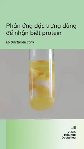#Protein #nhanbiet #hoahoc #hno3 #hoccungtiktok #doctailieu #longtrangtrung #cachnhanbiet