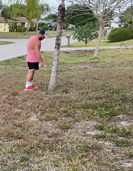 I’m trying to save the 🌴#americasfavoriteteddybear #gardening #palmtree #floridaman #calves #yardwork #designonadime #DIY #savethetrees #nailedit #killingit #addwater #doityourself