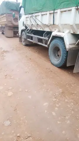 antri lgi