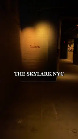 Great after work vibes! Literally up in the sky! Great drinks! (Try the Prince Harry). Great dinner bites! Immaculate VIEWS! #HPSustainableSounds #PassTheBIC #nyc #afterwork #fyp #theskylark #theskylarknyc @theskylarknyc