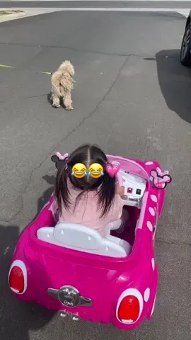 Cuando agarras carro nuevo y no sabes cómo actuar 😂😭 #HPSustainableSounds #latinacontentcreator #ScreamItOut #quitesealaverga #latinastiktok #toddlersoftiktok #dogsofttiktok #coloradoadventures