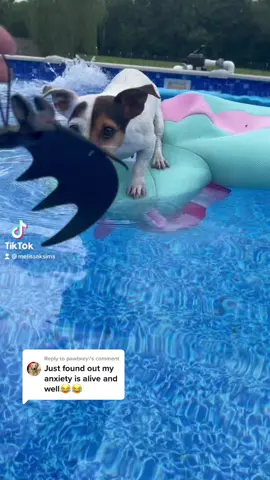 Reply to @pawbrey #bigenergy @lizzo #jrt #pool #babygirl #HPSustainableSounds #PassTheBIC